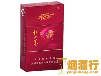 红山茶(紫)香烟