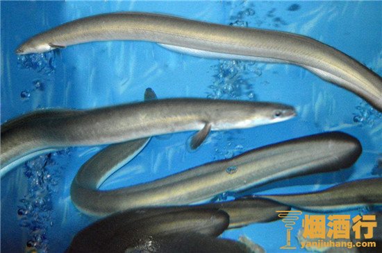 吃什么东西能戒酒， 戒酒土方法